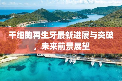干細(xì)胞再生牙最新進(jìn)展與突破，未來前景展望