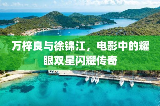 萬梓良與徐錦江，電影中的耀眼雙星閃耀傳奇