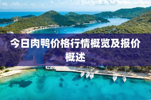 今日肉鴨價(jià)格行情概覽及報(bào)價(jià)概述