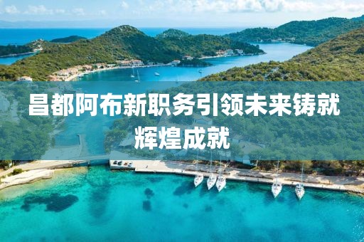 昌都阿布新職務(wù)引領(lǐng)未來鑄就輝煌成就
