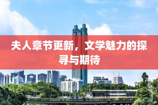 夫人章節(jié)更新，文學(xué)魅力的探尋與期待
