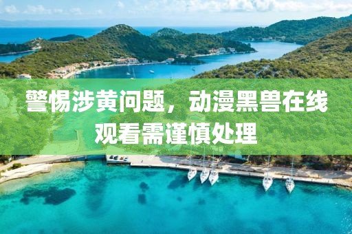 警惕涉黃問題，動(dòng)漫黑獸在線觀看需謹(jǐn)慎處理