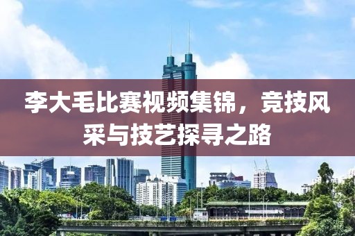 李大毛比賽視頻集錦，競(jìng)技風(fēng)采與技藝探尋之路