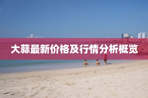 大蒜最新價(jià)格及行情分析概覽
