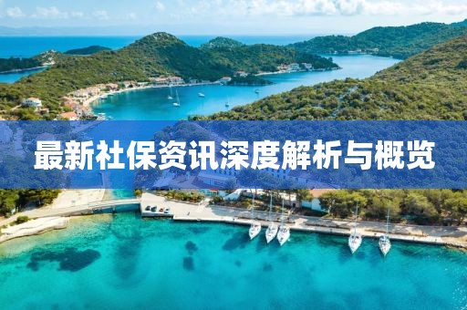 最新社保資訊深度解析與概覽