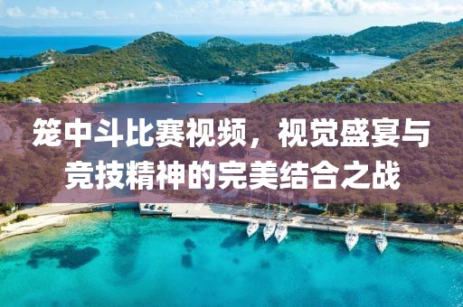 南城半夏 第22頁(yè)