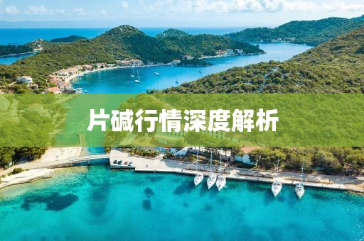 片堿行情深度解析