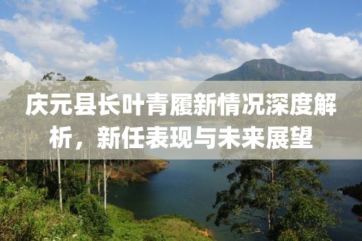 慶元縣長(zhǎng)葉青履新情況深度解析，新任表現(xiàn)與未來(lái)展望