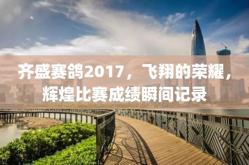 齊盛賽鴿2017，飛翔的榮耀，輝煌比賽成績(jī)瞬間記錄