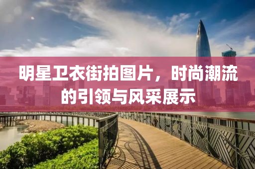 明星衛(wèi)衣街拍圖片，時(shí)尚潮流的引領(lǐng)與風(fēng)采展示
