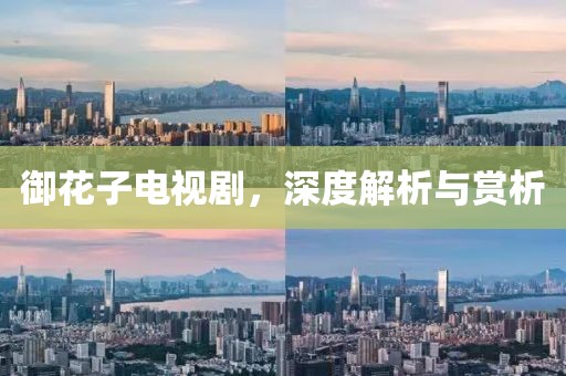 御花子電視劇，深度解析與賞析