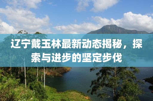 遼寧戴玉林最新動(dòng)態(tài)揭秘，探索與進(jìn)步的堅(jiān)定步伐
