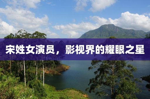 宋姓女演員，影視界的耀眼之星