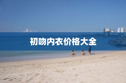 初吻內(nèi)衣價(jià)格大全