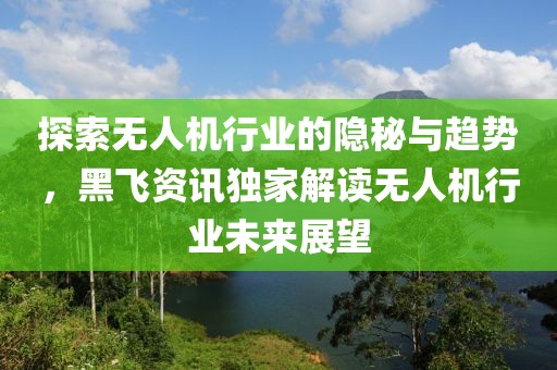 探索無人機(jī)行業(yè)的隱秘與趨勢，黑飛資訊獨(dú)家解讀無人機(jī)行業(yè)未來展望