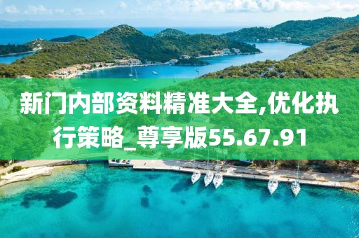 新門內(nèi)部資料精準(zhǔn)大全,優(yōu)化執(zhí)行策略_尊享版55.67.91
