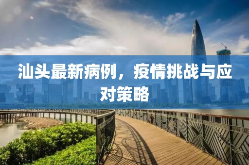 汕頭最新病例，疫情挑戰(zhàn)與應(yīng)對(duì)策略