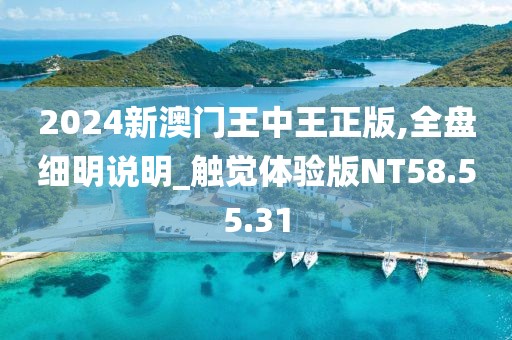 2024新澳門王中王正版,全盤細明說明_觸覺體驗版NT58.55.31