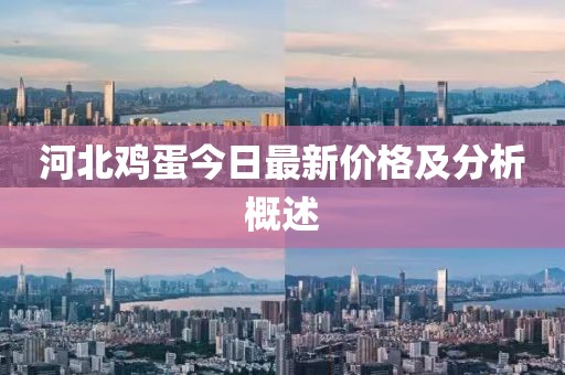 河北雞蛋今日最新價(jià)格及分析概述