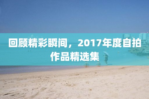 回顧精彩瞬間，2017年度自拍作品精選集