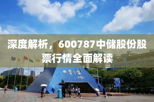 深度解析，600787中儲(chǔ)股份股票行情全面解讀