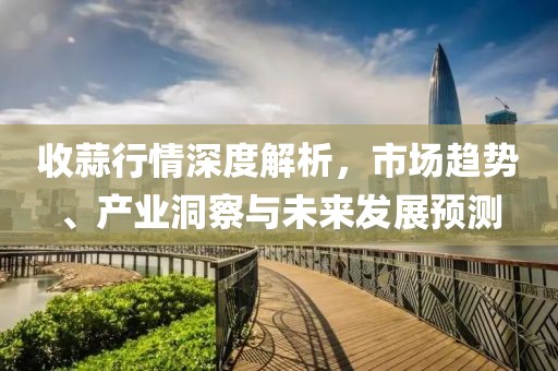 收蒜行情深度解析，市場趨勢、產(chǎn)業(yè)洞察與未來發(fā)展預(yù)測