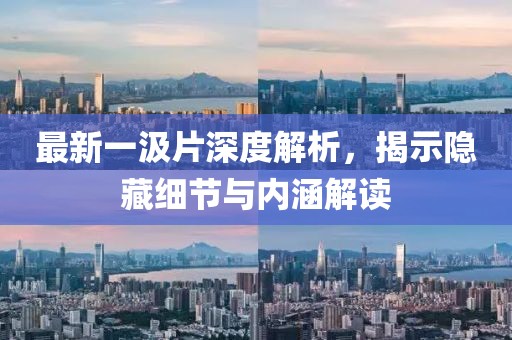 最新一汲片深度解析，揭示隱藏細(xì)節(jié)與內(nèi)涵解讀