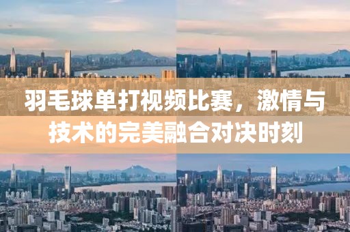 羽毛球單打視頻比賽，激情與技術(shù)的完美融合對(duì)決時(shí)刻