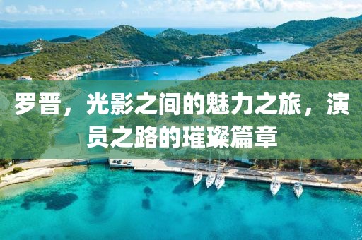 羅晉，光影之間的魅力之旅，演員之路的璀璨篇章