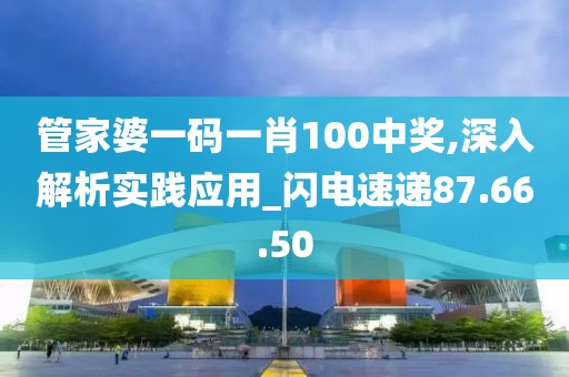 管家婆一碼一肖100中獎,深入解析實(shí)踐應(yīng)用_閃電速遞87.66.50