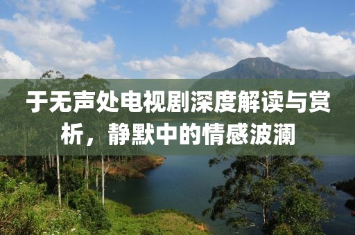 于無聲處電視劇深度解讀與賞析，靜默中的情感波瀾