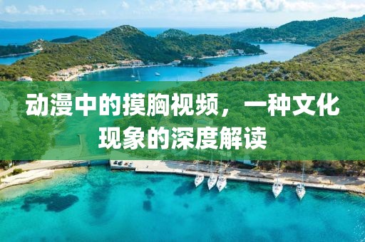 動漫中的摸胸視頻，一種文化現(xiàn)象的深度解讀