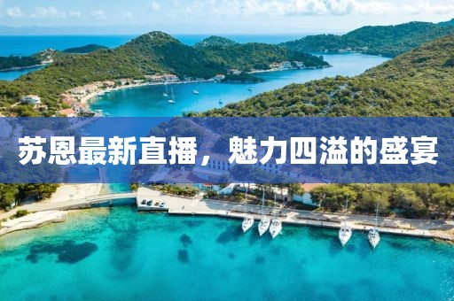 蘇恩最新直播，魅力四溢的盛宴