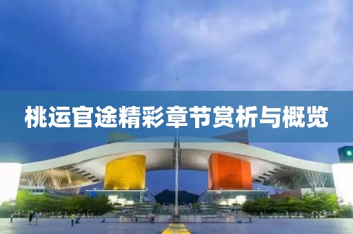 桃運(yùn)官途精彩章節(jié)賞析與概覽