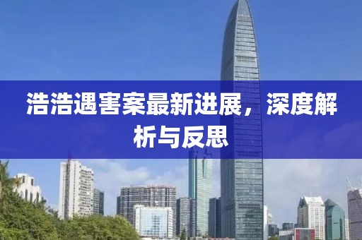 浩浩遇害案最新進(jìn)展，深度解析與反思
