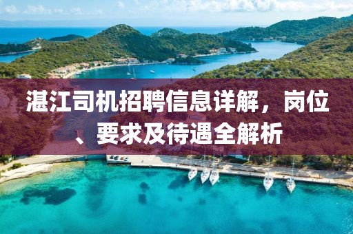 湛江司機(jī)招聘信息詳解，崗位、要求及待遇全解析