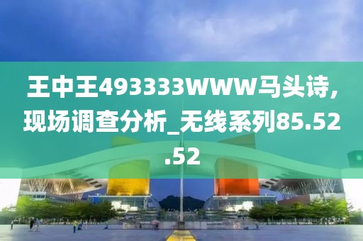 王中王493333WWW馬頭詩,現(xiàn)場調(diào)查分析_無線系列85.52.52