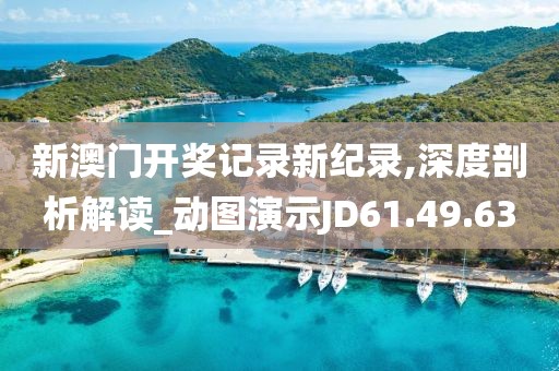 新澳門開獎記錄新紀(jì)錄,深度剖析解讀_動圖演示JD61.49.63