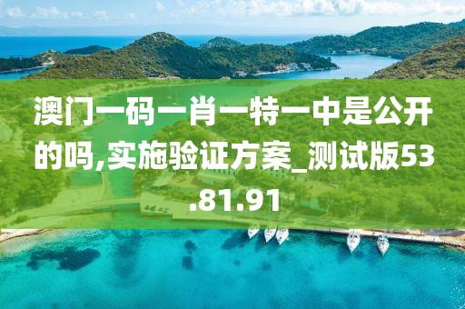 澳門一碼一肖一特一中是公開的嗎,實施驗證方案_測試版53.81.91