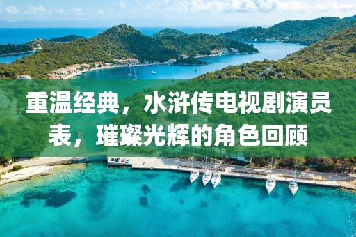 重溫經典，水滸傳電視劇演員表，璀璨光輝的角色回顧