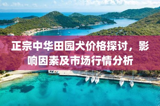 正宗中華田園犬價格探討，影響因素及市場行情分析