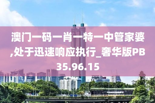 澳門一碼一肖一特一中管家婆,處于迅速響應(yīng)執(zhí)行_奢華版PB35.96.15