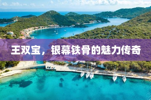 王雙寶，銀幕鐵骨的魅力傳奇