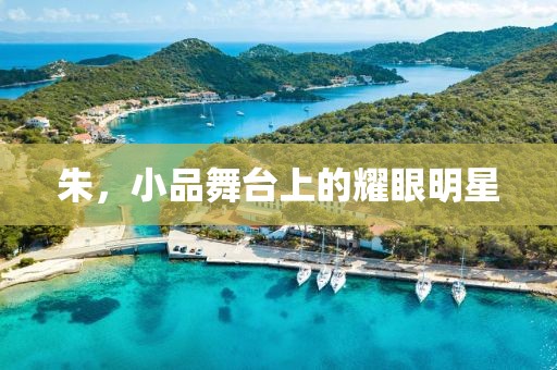 朱，小品舞臺上的耀眼明星