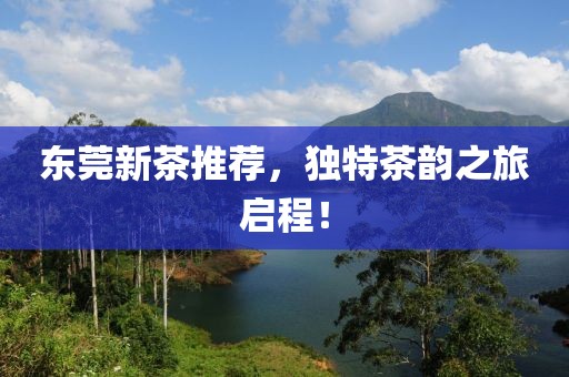 東莞新茶推薦，獨特茶韻之旅啟程！