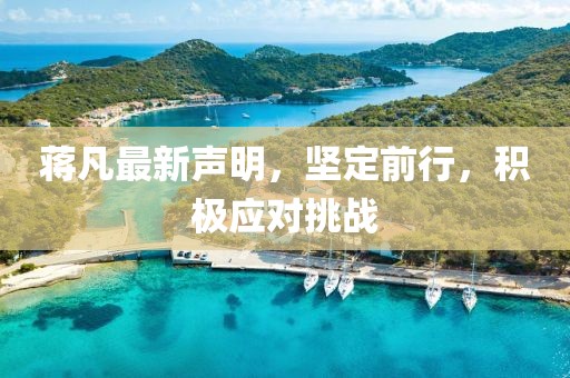 蔣凡最新聲明，堅定前行，積極應對挑戰(zhàn)