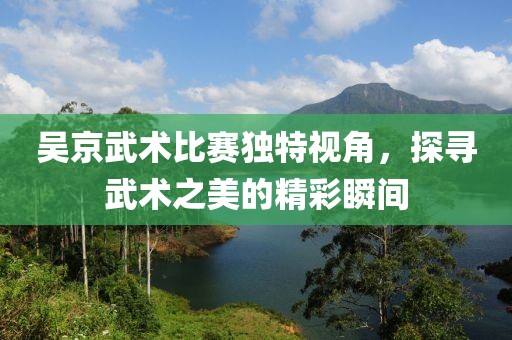 吳京武術比賽獨特視角，探尋武術之美的精彩瞬間