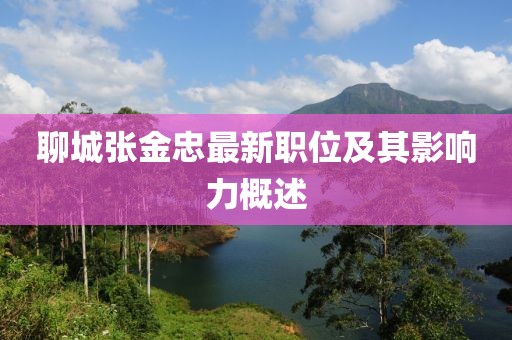 聊城張金忠最新職位及其影響力概述
