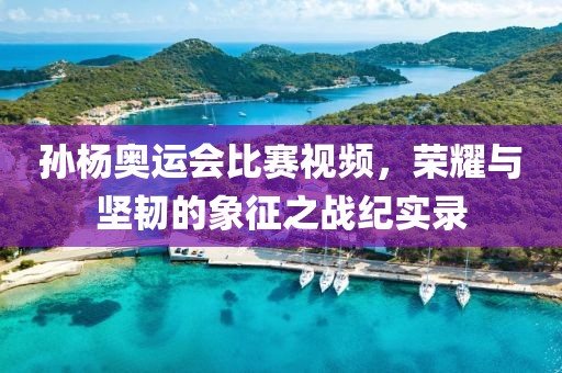 孫楊奧運(yùn)會比賽視頻，榮耀與堅(jiān)韌的象征之戰(zhàn)紀(jì)實(shí)錄