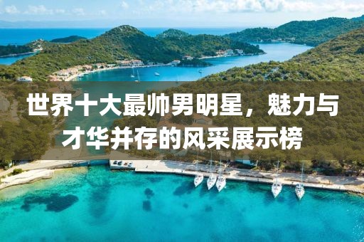 世界十大最帥男明星，魅力與才華并存的風(fēng)采展示榜